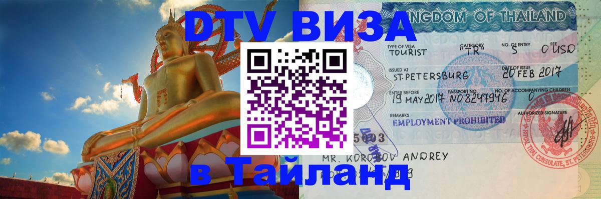 Сколько стоит DTV виза — актуальные цены, оформление даже без документов - Бишкек  19.11.2025 